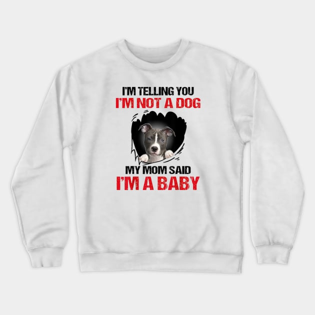 Pitbull I'm Telling You I'm Not A Dog My Mom Said I'm A Baby Crewneck Sweatshirt by cobiepacior